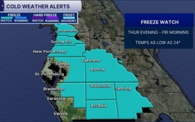 Freeze Watch